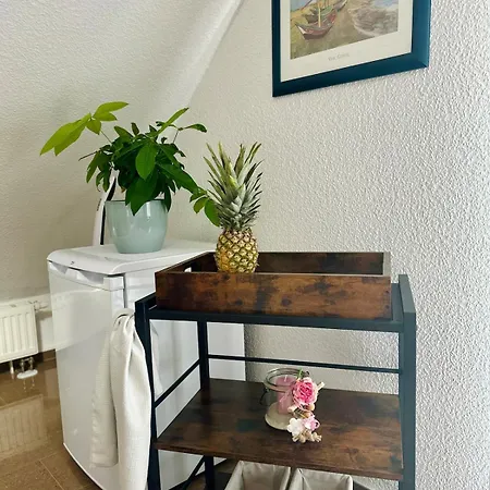 In For Short & Long Apartment *