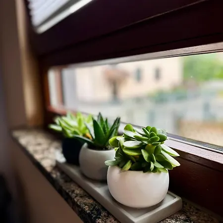 דירה In For Short & Long Taucha